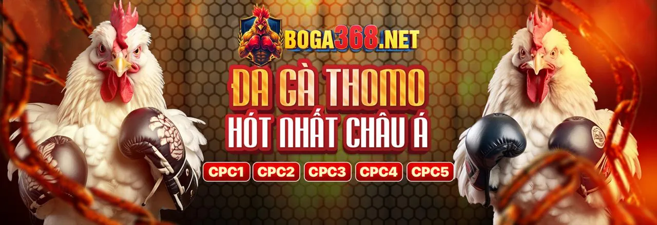 Sân vận động với ánh đèn rực rỡ và logo 888clb, tượng trưng cho cá cược thể thao đỉnh cao